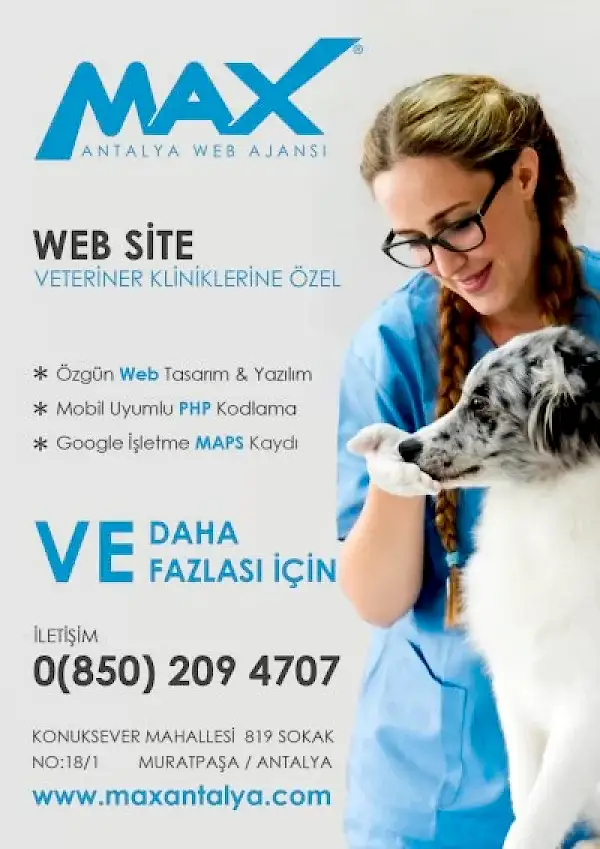 Veteriner web sitesi