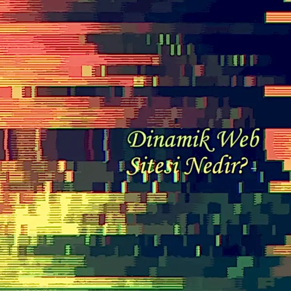 Dinamik web sitesi nedir?